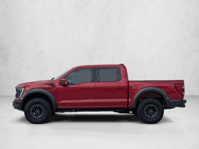 2023 Ford F-150 Raptor 4WD SuperCrew 5.5' Box