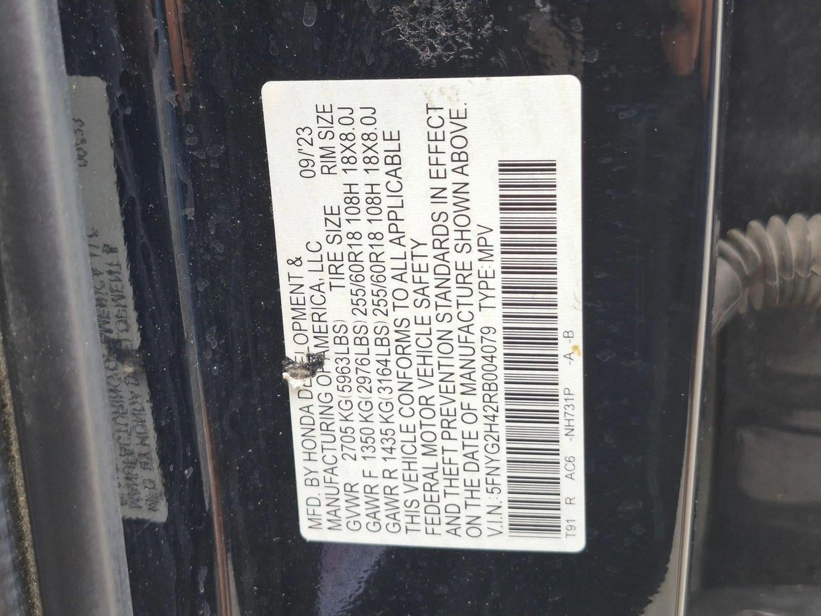 2024 Honda Pilot EX-L 8 Passenger 2WD