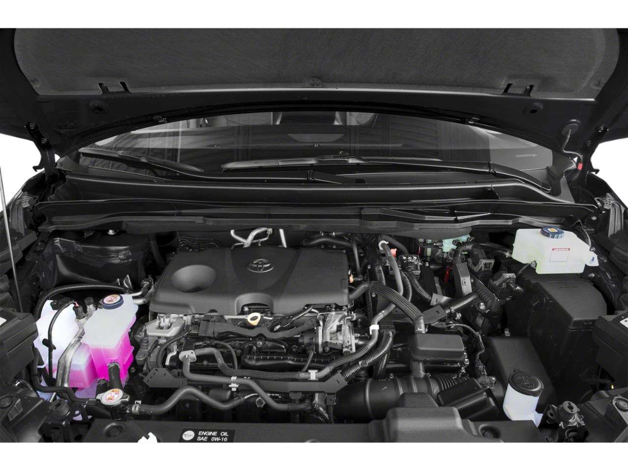 2021 Toyota Sienna LE FWD 8-Passenger (Natl)