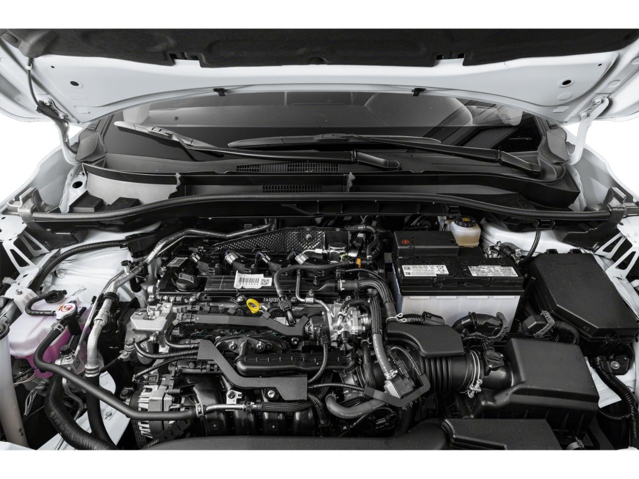 2024 Toyota Corolla Cross XLE 2WD (Natl)